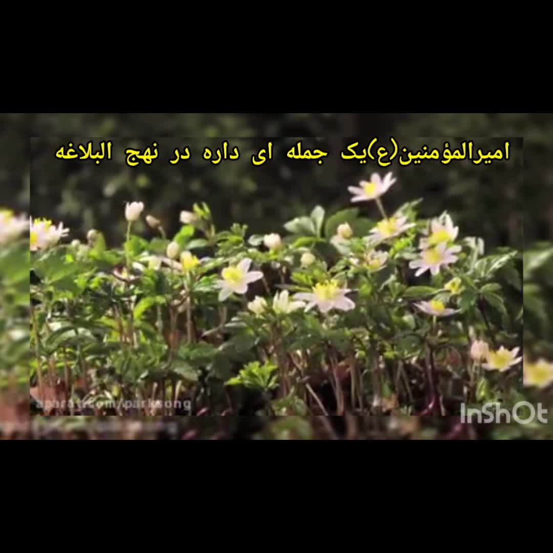 خطبه ۱۳۵  نهج البلاغه