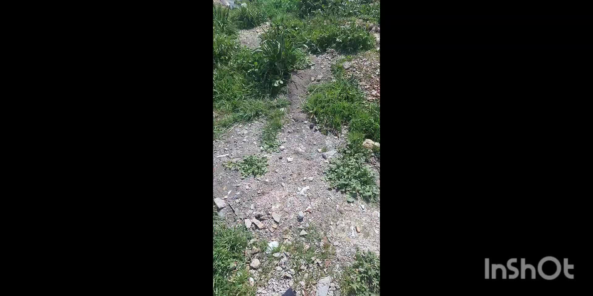 خفظ محیط زیست