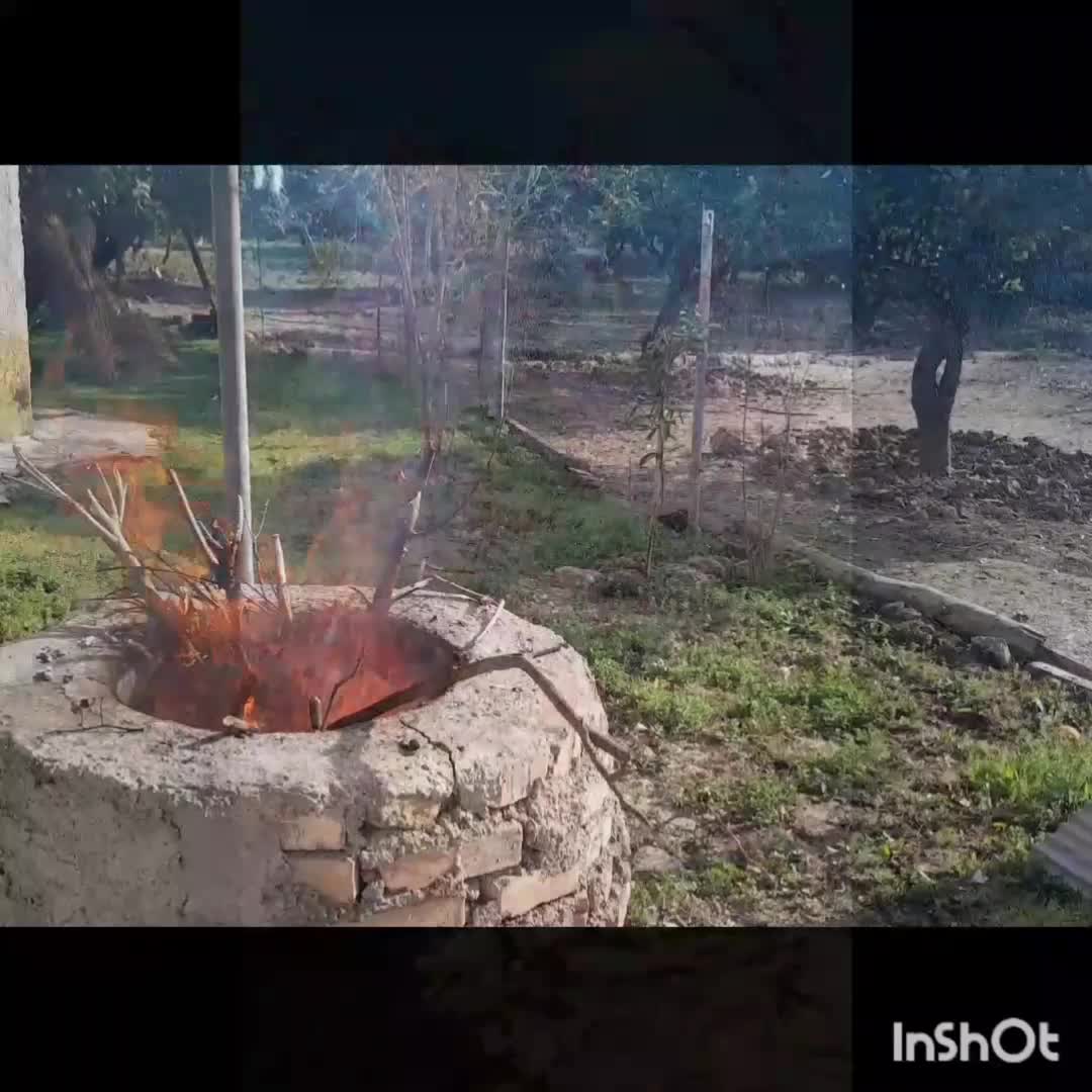 غذای خوشمزه‌ی ما مازندرانی ها