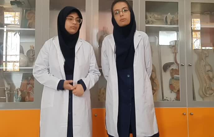 پویش رویانا _ توضیح ایده _ گروه شماره ۲۱